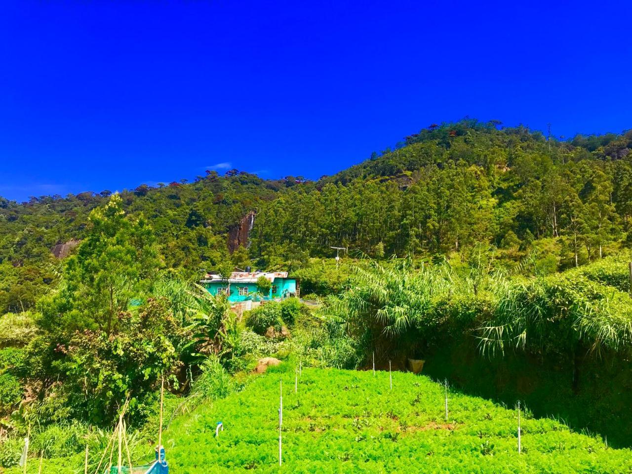 Loversleap Bungalow Νουβάρα Ελίγια Εξωτερικό φωτογραφία
